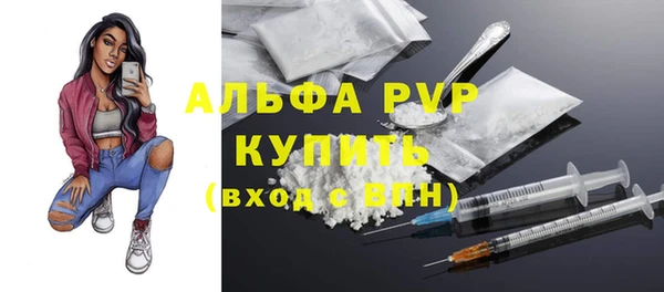 спиды Нея