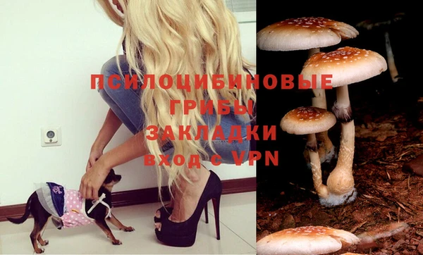 спиды Нея