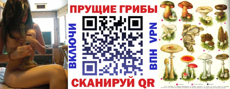 Псилоцибиновые грибы Psilocybine cubensis  Пугачёв 